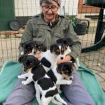 Kennel Strandrosens