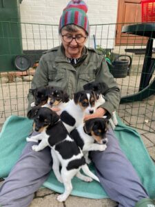 Kennel Strandrosens
