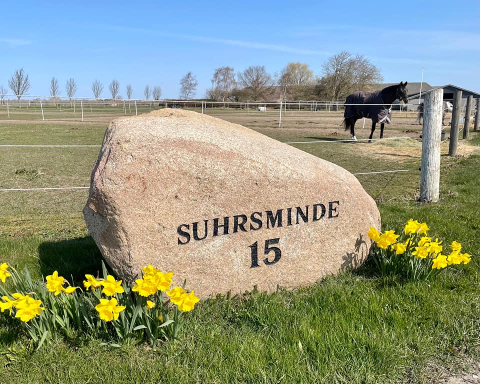 Suhrsminde Rideklub