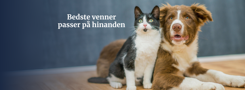 Dyrekassen Danmark