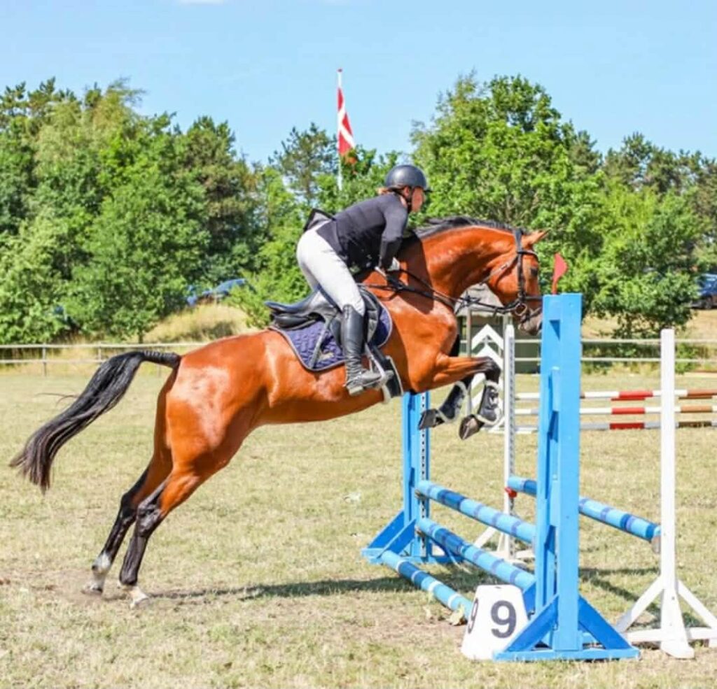 Nakskov og Omegns Rideklub