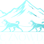 Arctic Znowdancer