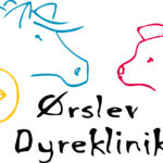 Ørslev Dyreklinik