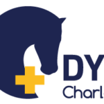 Dyrlæge Charlotte Meldgaard