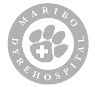 Maribo Dyrehospital