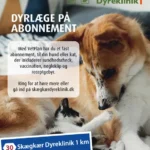 Skægkær Dyreklinik