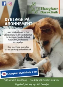 Skægkær Dyreklinik