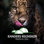 Randers Regnskov