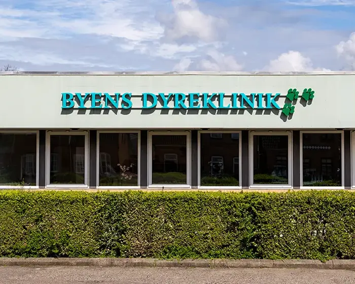 Byens Dyreklinik