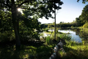 Naturstyrelsen Nordsjælland
