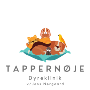 Tappernøje Dyreklinik
