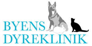 Byens Dyreklinik
