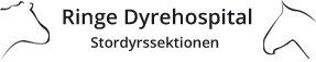 Ringe Dyrehospital Stordyrssektionen