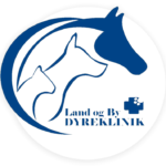 Country & City Veterinary Clinic