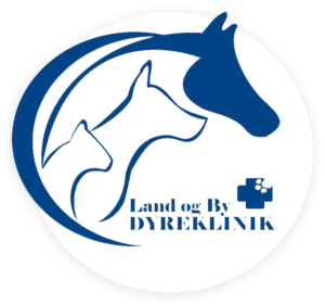 Country & City Veterinary Clinic