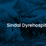 Sindal Dyrehospital I / S