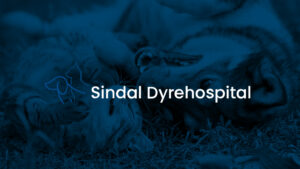 Sindal Dyrehospital I / S