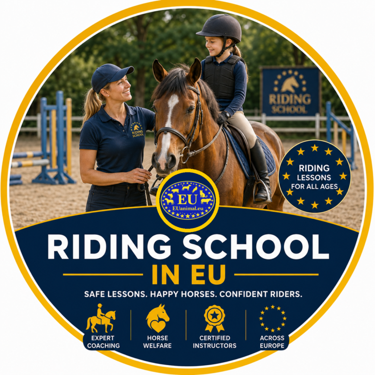 Riding School
