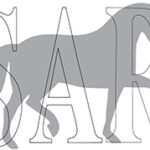 Sakskøbing Rideklub