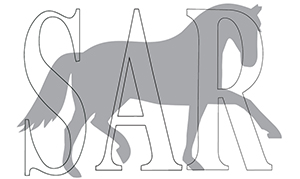 Sakskøbing Rideklub