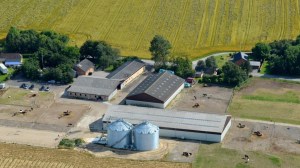 Søholt Ridecenter og Rideskole