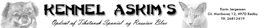 Kennel Askim's