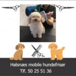 Halsnæs mobile hundefrisør