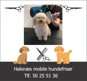 Halsnæs mobile hundefrisør