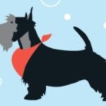 Dianas Hundesalon