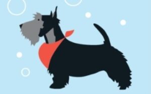 Dianas Hundesalon