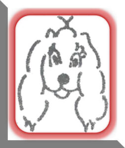 Hillerød Hundesalon