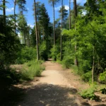 Nordskovens Hundeskov