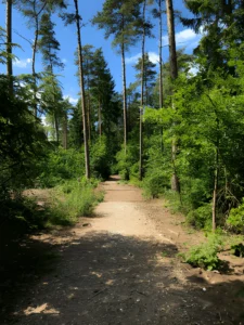 Nordskovens Hundeskov