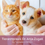 Tierarztpraxis Dr. Anja Zogall