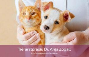 Tierarztpraxis Dr. Anja Zogall