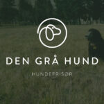 Den Grå Hund
