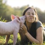 Land der Tiere – Lebensort für gerettete Tiere und veganes Tierschutzzentrum