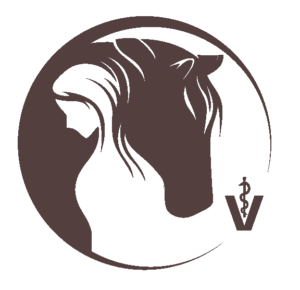 OsteoVet – Osteopathie & Tierarztpraxis für Pferd und Hund