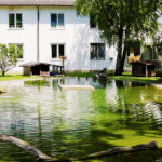 Tierheim München gGmbH