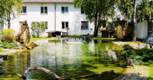 Tierheim München gGmbH