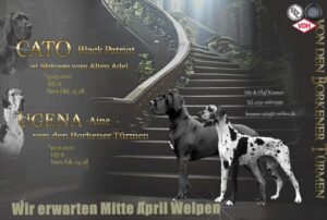 Ute Kramer Hundezüchterin Deutsche Doggen