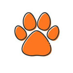 Dog Days – Hundephysiotherapie