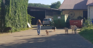 Gnadenhof in Rosenberg