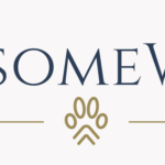 PawsomeWalk