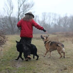 Hundeschule & Verhaltensberatung Nadin Riderer