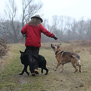 Hundeschule & Verhaltensberatung Nadin Riderer