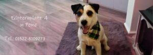 Jenny's Hundesalon - Peine