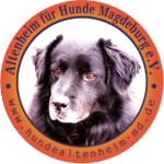 Altenheim für Hunde Magdeburg eV