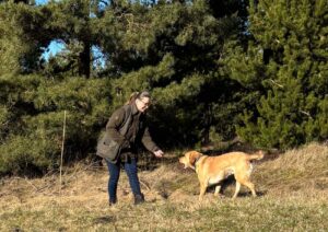 Fri Retriever Dressur