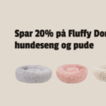 Dalum Dyrehandel